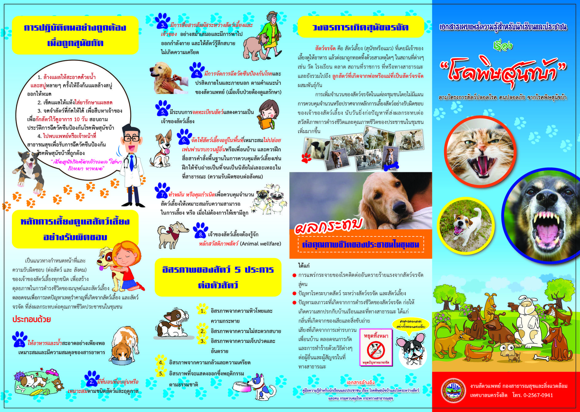 Front Back-02 4
